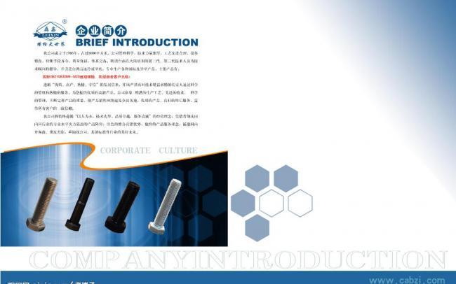 企业画册封2与P1 视觉序章的艺术